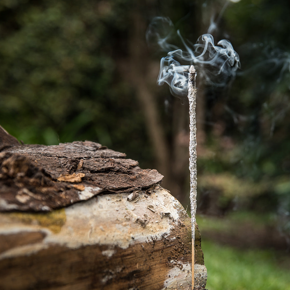 Incenso Botanico in Bastoncini Sagrada Madre - Palo Santo e Sandalo