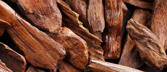 Bastoncini di Incenso Stamford Premium - Legno di Sandalo